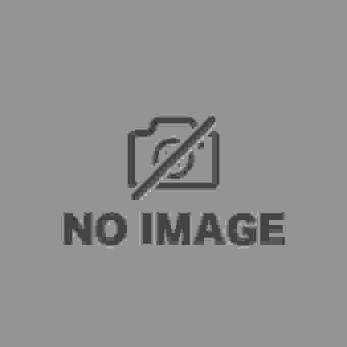 Wonderful World Travel: Aufstieg und Fall des Dinosaurierkönigreichs – Eine ausführliche Rezension einer inspirierenden Reise und eines historischen Dramas