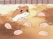 Hamster Club: Eine gründliche Bewertung der attraktiven Charaktere und der Tiefe der Geschichte