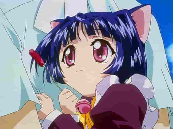 Magical Girl Cat Taruto – Eine Rezension des faszinierenden neuen Anime